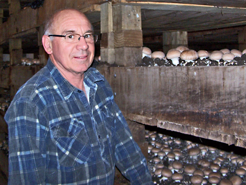Clive Thompson - Parkvale Mushrooms